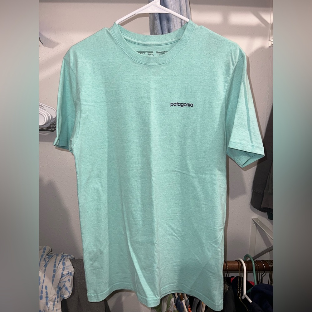 Patagonia Short Sleeve Tee in Seafoam Green